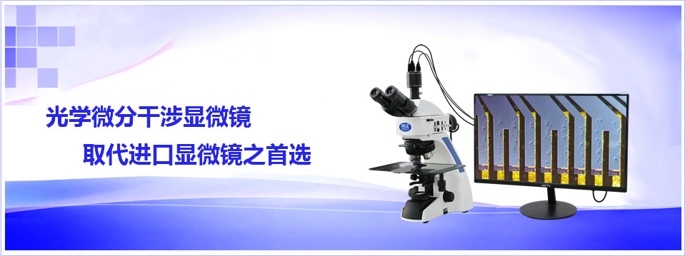 亚洲爆乳无码精品AAA片蜜桃