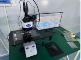 2026年4月交货湖北客户